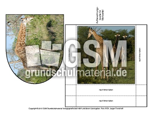 Giraffe-Merkzettel-1.pdf